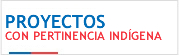 Proyectos con pertinencia ind&iacute;gena
